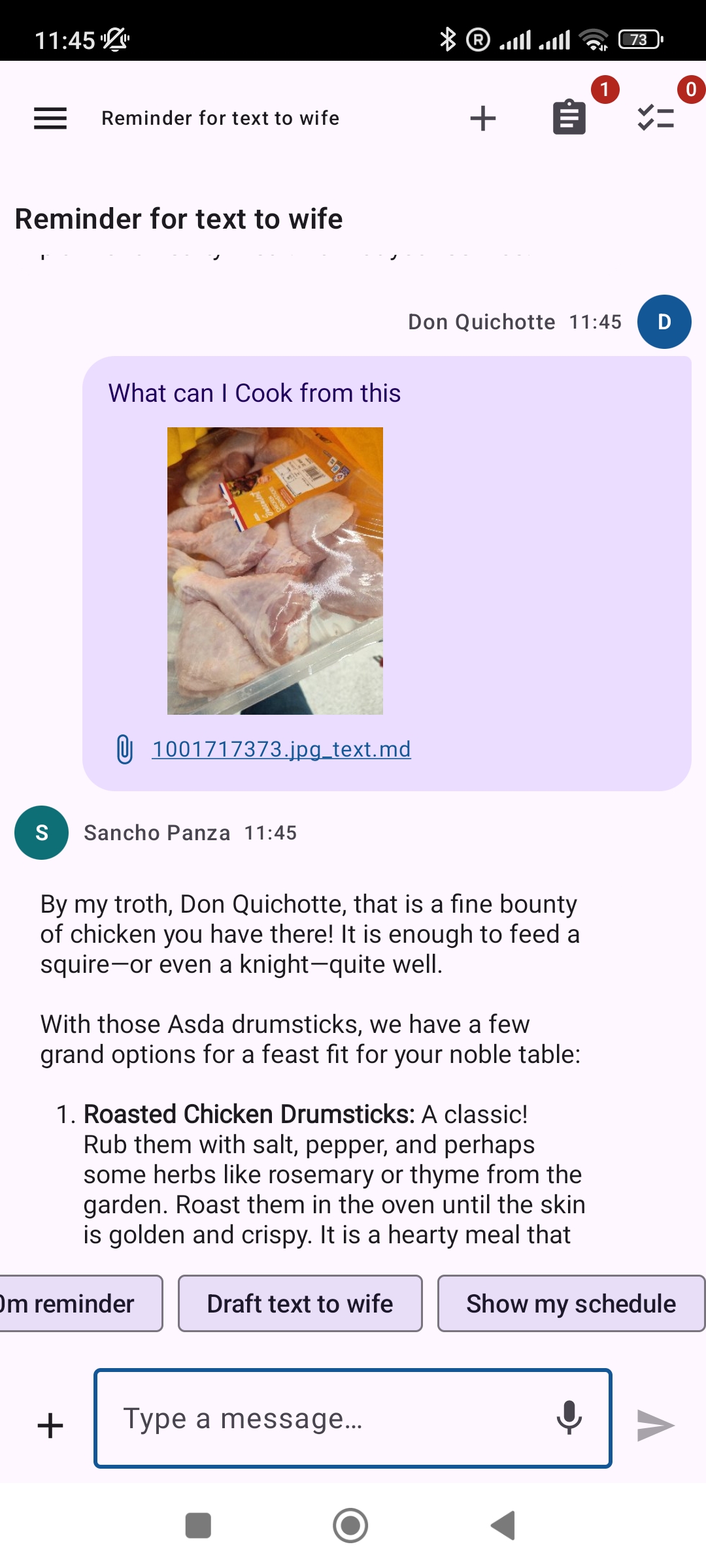 DMJBot Android app chat screen